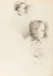 Disegno