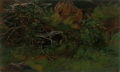 Studio dalla natura