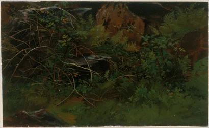 Studio dal vero
