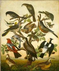 Uccelli, 1840 circa (olio su tela)