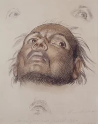 Studio della testa di un indiano orientale, c.1875