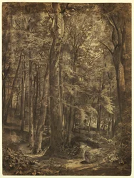 Disegno, Nel bosco, studio per un dipinto, June Woods, New York Historical Society, in prestito dalla New York Public Library, 1864