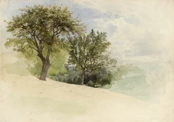 Paesaggio con alberi su un pendio, 1880-85