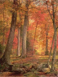 Sentiero nella foresta, 1865