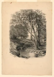 Piscina nel bosco
