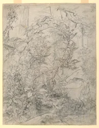 Studio di Foliage
