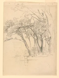 Studio di fogliame