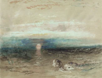 Tramonto sul mare con gallinelle