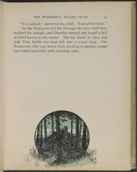 Illustrazione da "Il meraviglioso mago di Oz" di Lyman Frank Baum