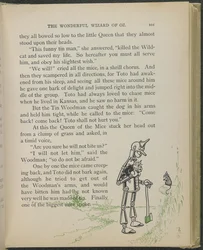 Illustrazione da "Il meraviglioso mago di Oz" di Lyman Frank Baum