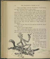 Illustrazione da "Il meraviglioso mago di Oz" di Lyman Frank Baum