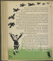 Illustrazione da "Il meraviglioso mago di Oz" di Lyman Frank Baum