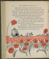 Illustrazione da "Il meraviglioso mago di Oz" di Lyman Frank Baum