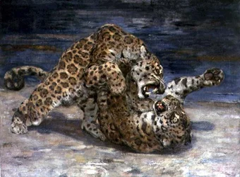Leopardi in lotta