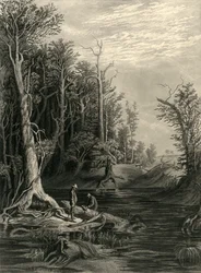 Il Chickahominy, 1872