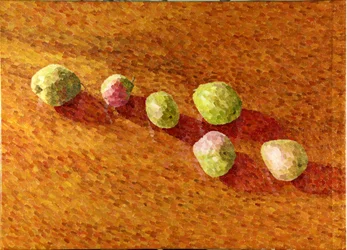 Natura morta, Worcesters nere, 2013