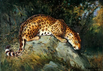 Un leopardo accovacciato su una roccia