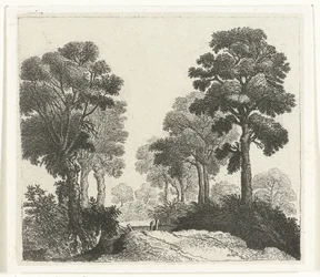 Paesaggio con alberi lungo un sentiero