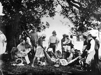 Scuoiamento della tigre, c.1870s