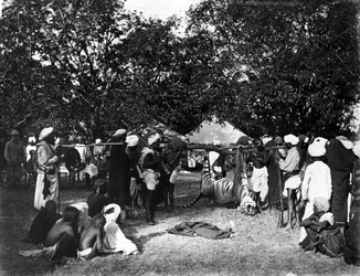 Caccia alla tigre in India, ca. anni 1870