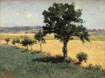Paesaggio