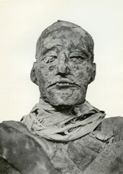 Testa della mummia di Ramesse III, faraone egizio della XX dinastia, c1156 a.C. 1926