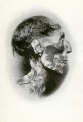 Testa della mummia di Ramesse II, antico faraone egizio della XIX dinastia, c1212 a.C. 1926