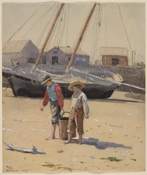 Un cesto di vongole