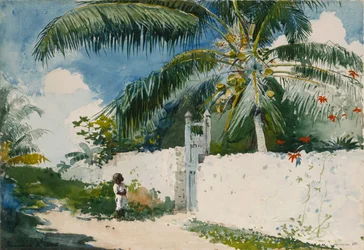 Un giardino a Nassau