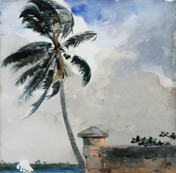 Una brezza tropicale, Nassau