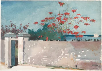 Un muro, Nassau