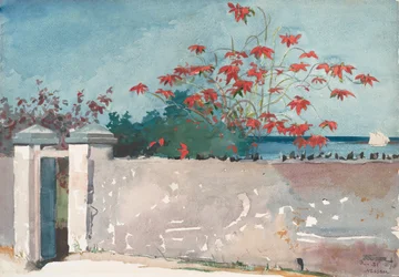 Un muro, Nassau, 1898