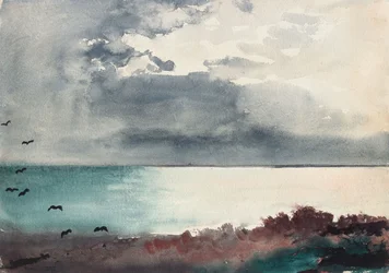 Tempesta in corso, costa del Maine
