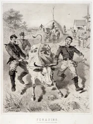 Schizzi di campagna: Foraggiamento