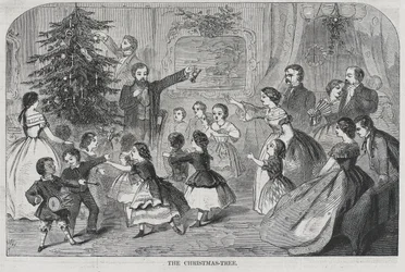 Natale - Raccolta di sempreverdi L