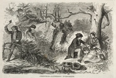 Natale - Raccolta di sempreverdi, 1858