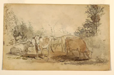 Disegno, Quattro mucche al pascolo, 1855-60 ca.