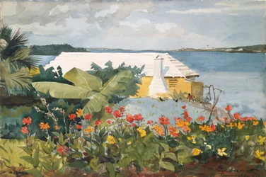 Giardino fiorito e bungalow, Bermuda
