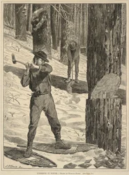 Il taglio del legno in inverno, da Ogni sabato: A Journal of Choice Reading, 28 gennaio 1871