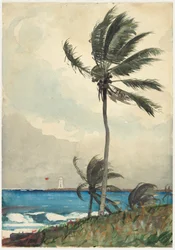 Palma, Nassau