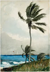 Palma, Nassau