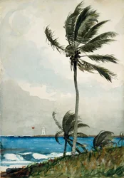 Palma, Nassau, 1898