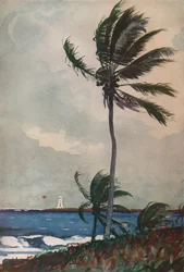 Palme, Nassau, 1898, 1932