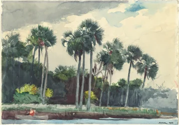 Camicia rossa, Homosassa, Florida