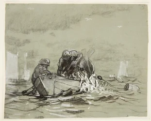 Studio per "La Rete delle Aringhe"