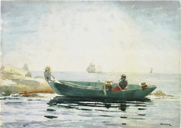 Il Dory verde