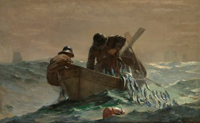 La rete delle aringhe
