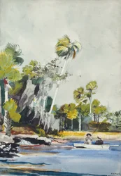 Il mucchio di conchiglie