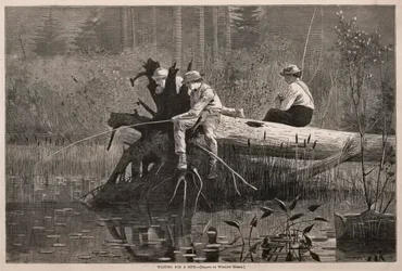 In attesa di un morso, 1874