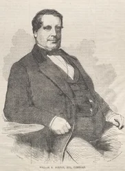 William E. Burton, avvocato, comico